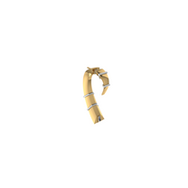CLAW DUAL BAND EARRING