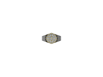 HALO ARC RING