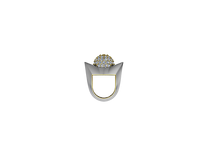 HALO ARC RING